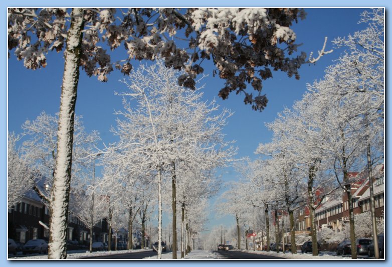 Arnhem Snow 180